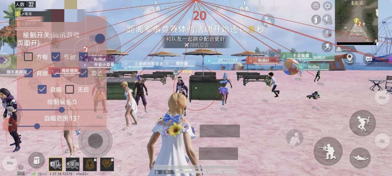 和平精英辅助【飞鸟】